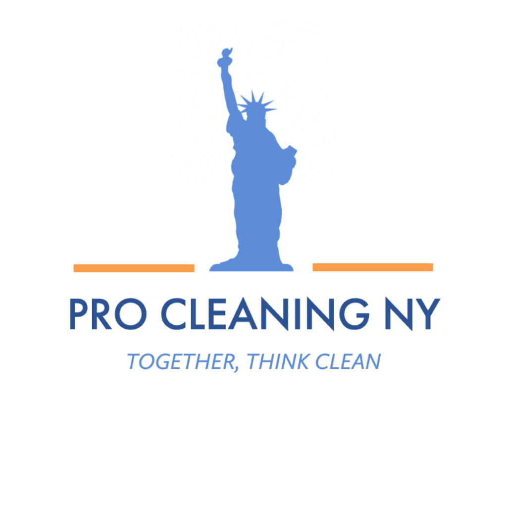 pro cleaning ny logo